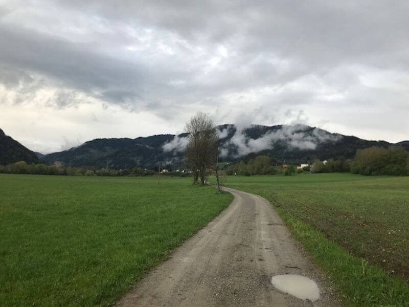 12von12 im Mai 2021-9